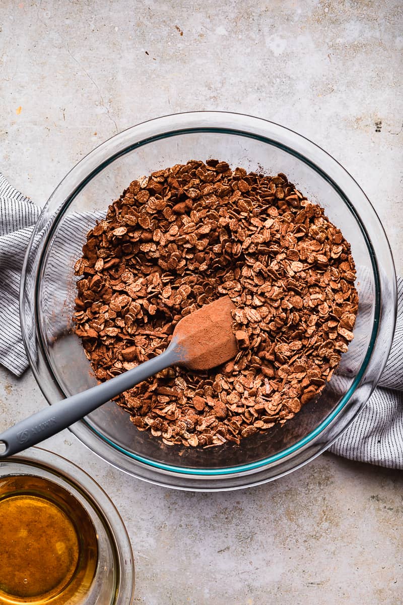 easy gluten free oats in a bowl with cocoa powder