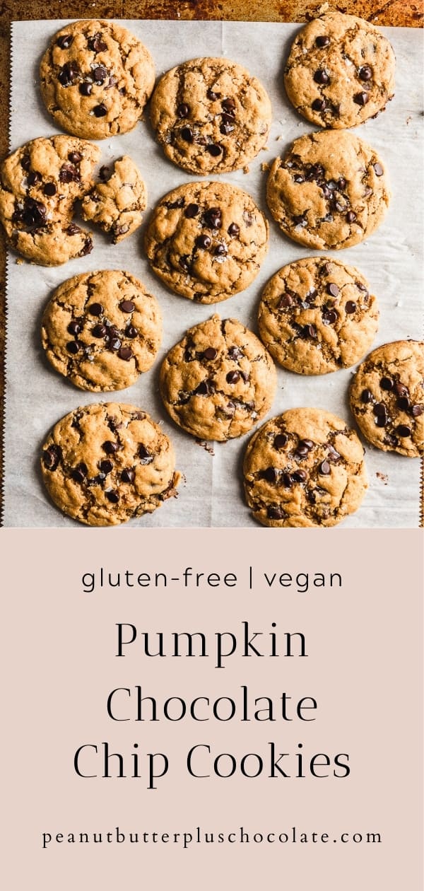 pumpkin chocolate chip cookies